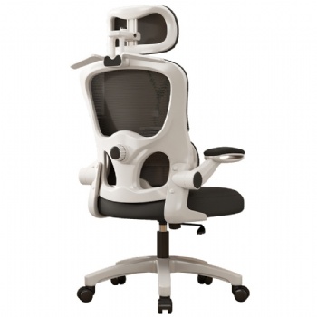 Home office mesh chair